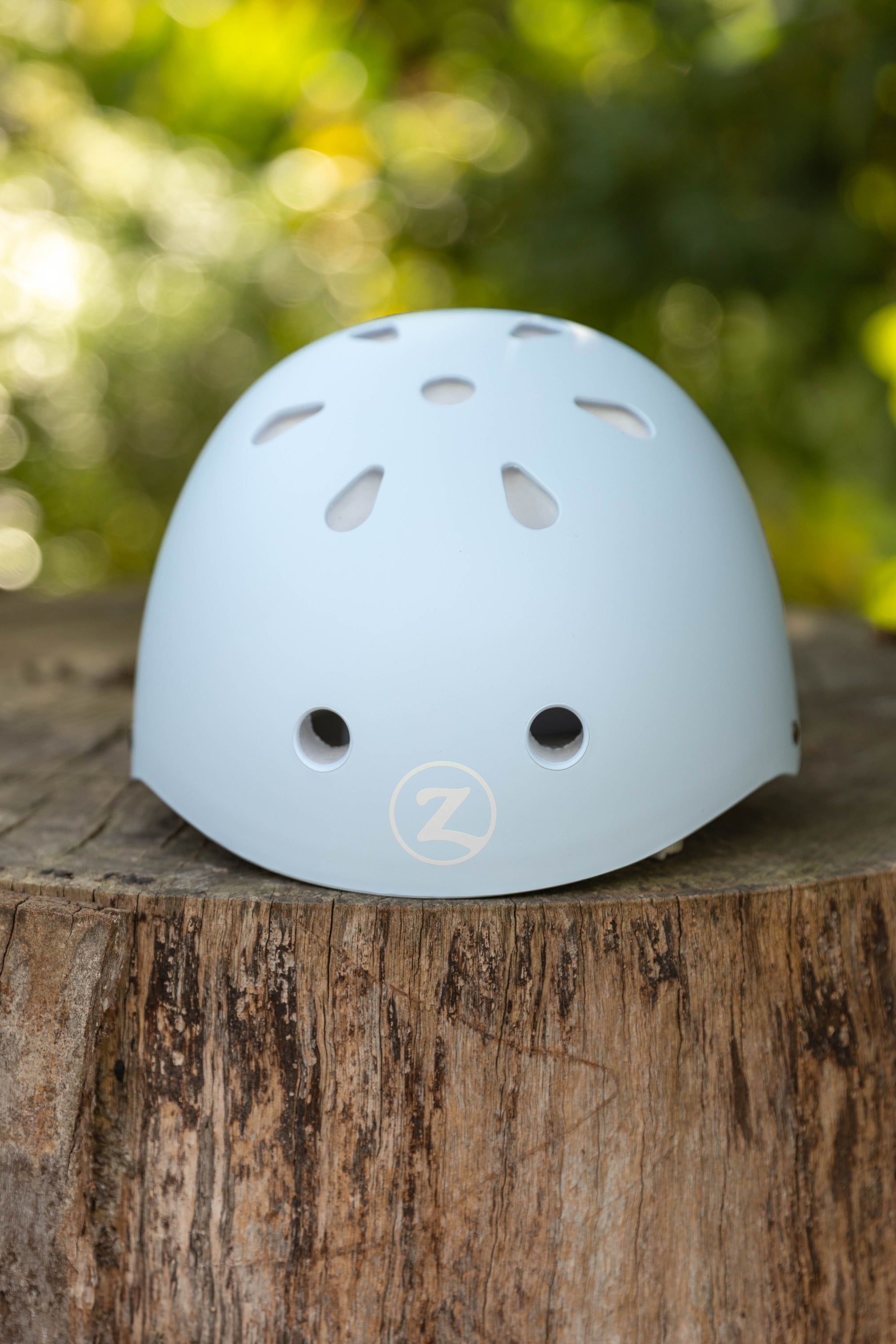 Briar Helmet